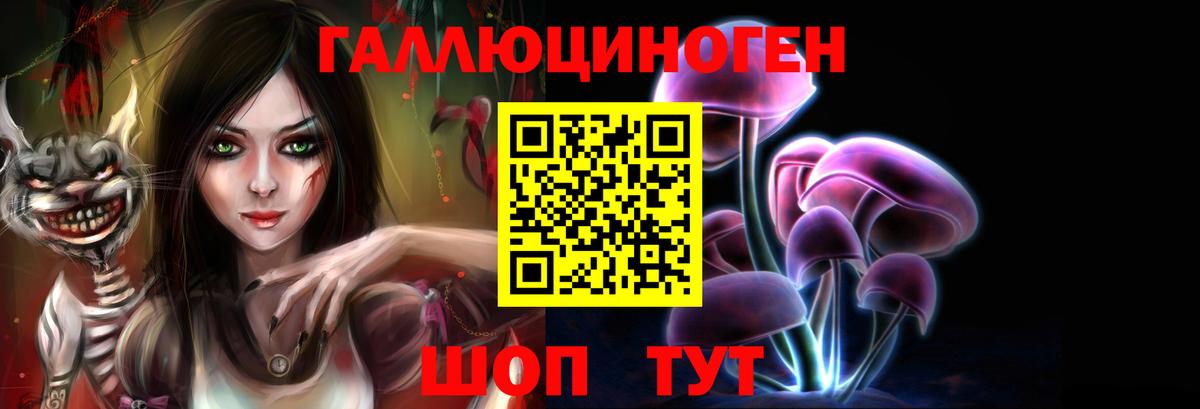 Псилоцибиновые грибы Psilocybine cubensis Ишим